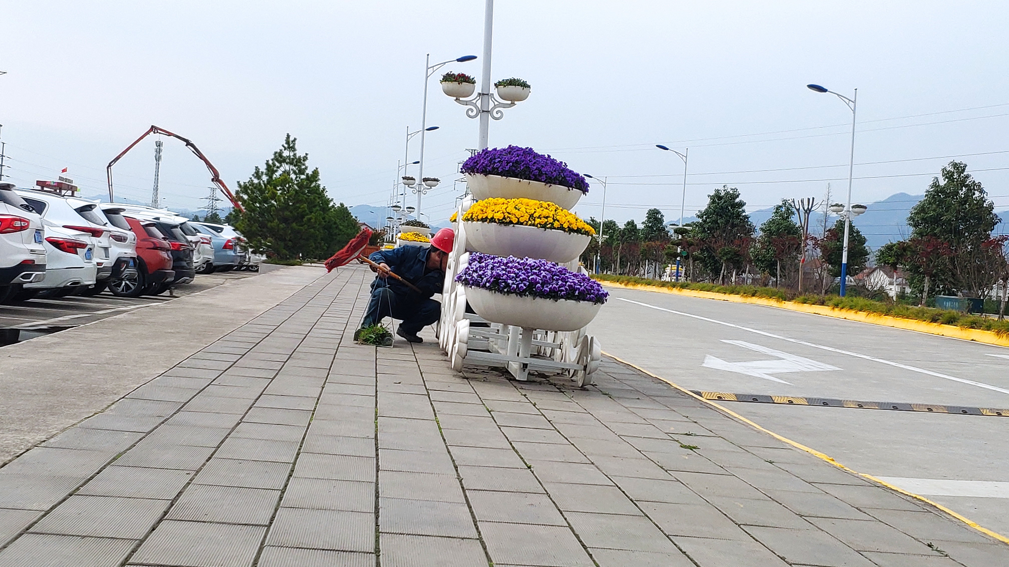 保護美麗家園，我們在行動